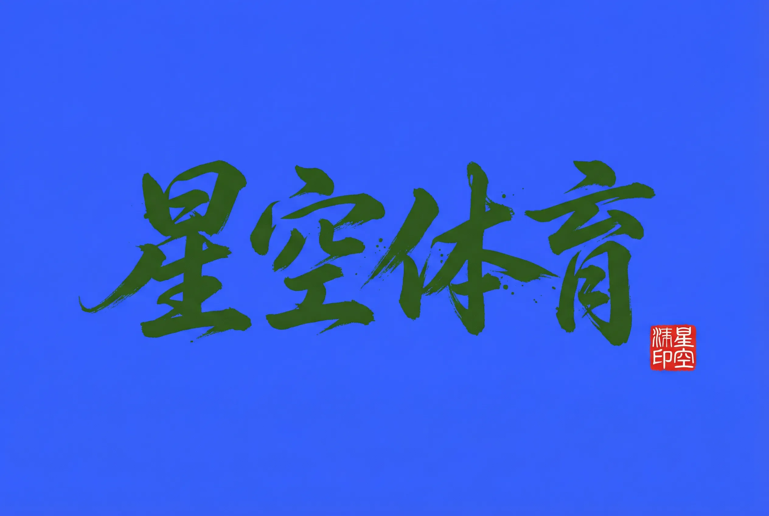 星空电竞体育官方标志